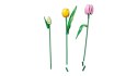 LEGO Botanical Collection 11501 - Bukiet tulipanów
