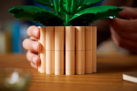 LEGO Botanical Collection 11504 - Skrzydłokwiat