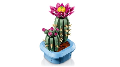LEGO Botanical Collection 11509 - Kwitnący kaktus