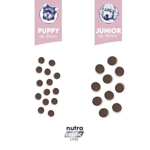 BALTICA NUTRACEUTIC Hypoallergenic Junior Lamb & Rice L / XL 12kg