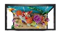 LEGO Icons 10366 - Tropikalne akwarium