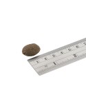 Fish4Dogs Finest Salmon Adult 12kg