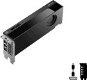 PNY RTX PRO 4000 Blackwell SFF VCNRTXPRO4000LP-PB