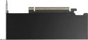 PNY RTX PRO 4000 Blackwell SFF VCNRTXPRO4000LP-PB