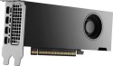 PNY RTX PRO 4000 Blackwell SFF VCNRTXPRO4000LP-PB