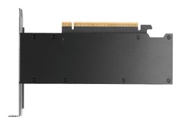 PNY RTX PRO 2000 Blackwell VCNRTXPRO2000-PB