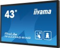 Monitor iiyama ProLite TF4339AS-B1AG - 43" - Płaski ekran - 108 cm