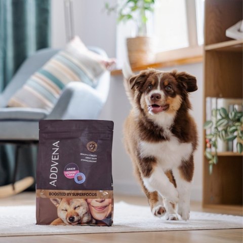 ADDVENA BOOSTED BY SUPERFOODS dla szczeniąt średnich i dużych ras 2,5kg