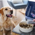 ADDVENA POWER OF NATURE dla starszych psów średnich i dużych ras 10kg