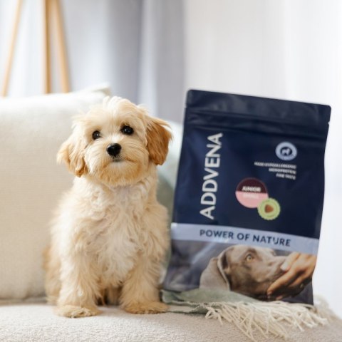 ADDVENA POWER OF NATURE dla szczeniąt małych ras 10kg