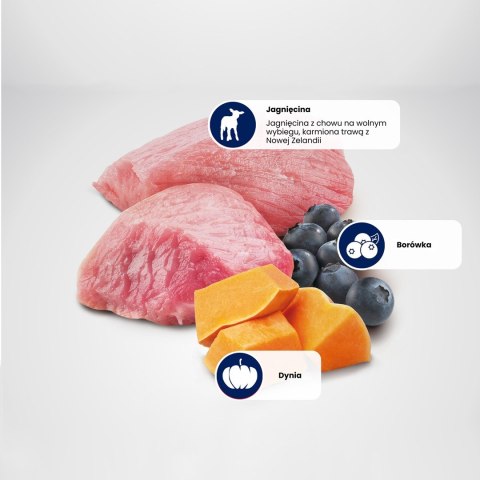 FARMINA N&D PUMPKIN CAT LAMB&BLUEBERRY NEUTERED - sucha karma dla kota - 1,5 kg