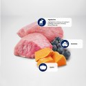 FARMINA N&D Pumpkin Lamb & Blueberry Adult Mini - sucha karma dla psa - 7 kg