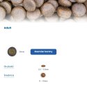 FARMINA N&D Quinoa Weight Management Lamb - sucha karma dla kota - 5kg