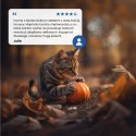 Farmina N&D Pumpkin Neutered sucha karma z przepiórką dla kotów po zabiegu kastracji 5kg