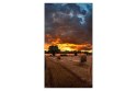 Monitor LCD Samsung 46" VM46B-U LH46VMBUBGBXEN Wewnętrzny