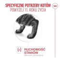 ROYAL CANIN FHN Cat Ageing 11+ 2kg