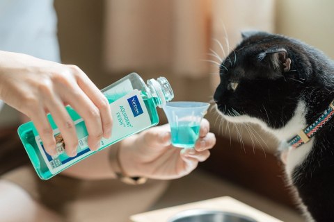 VIRBAC VET AQUADENT płyn do higieny jamy ustnej 500ml
