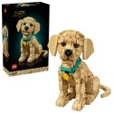 LEGO 11384 Icons - Szczeniak golden retriever