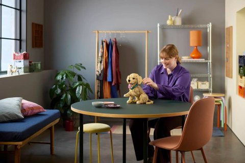 LEGO 11384 Icons - Szczeniak golden retriever