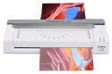 Olympia 3130 laminator Laminator na zimno/gorąco 250 mm/min Biały