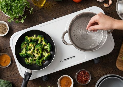 ESPERANZA KUCHENKA ELEKTRYCZNA COTOPAXI BIAŁA EKH010W