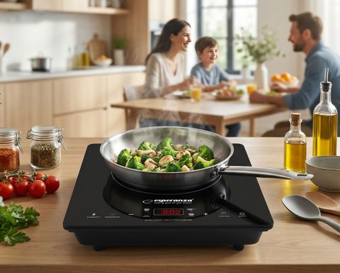 ESPERANZA KUCHENKA INDUKCYJNA VESUVIUS EKH009