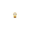 Philips PerfectCare 6000 Series PSG6042/20 Żelazko z generatorem pary