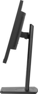 Monitor USB-C, LAN, DP-Out (dock), 300cd