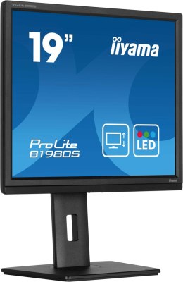 Monitor iiyama B1980S-B1 19 cali panel TN 1280x1024 250cd/m2 HDMI DP