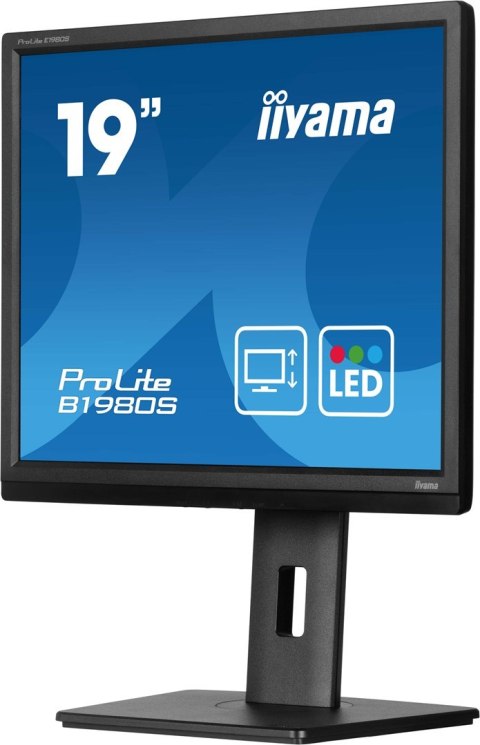 Monitor iiyama B1980S-B1 19 cali panel TN 1280x1024 250cd/m2 HDMI DP