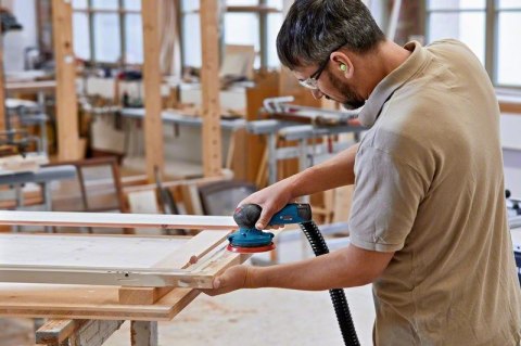 Bosch GEX 12V-125 Professional