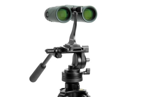 Celestron CB71331 lornetka BaK-4 Zielony