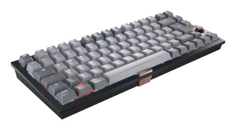 Cherry TAS Klawiatura bezprzewodowa MX 2A brązowa