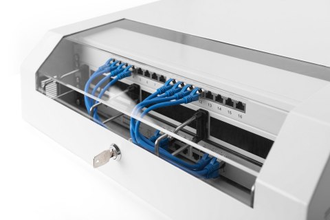 Szafa wisząca NWS 19" Slim Line 3HE rotierbar, 2HE fix, 145x500x475 mm, kolor szary (RAL 7035)
