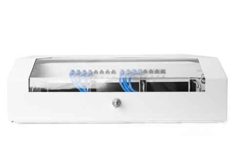 Szafa wisząca NWS 19" Slim Line 3HE rotierbar, 2HE fix, 145x500x475 mm, kolor szary (RAL 7035)