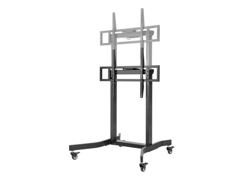 Uchwyt na stojak podłogowy Equip 55-100"/1TFT 120kg lite Sprzedaż detaliczna (650632)