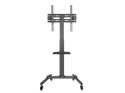 Uchwyt podłogowy do TV 32"-55"/35kg 1TFT 1Abl. czarny