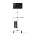 Wózek Maclean MC-793 max 17"-32", max 20kg, - mobilne stanowisko komputerowe na kółkach