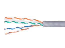 Kabel Instalacyjny Kategoria 6 U/UTP 4P23 100.00m szary LSZH