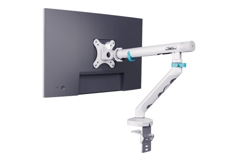 Digitus Pojedynczy uchwyt do monitora, 35", 10 kg