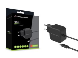 Conceptronic OZUL04BE ładowarka do urządzeń przenośnych Uniwersalne Czarny Prąd przemienny Wewnętrzna