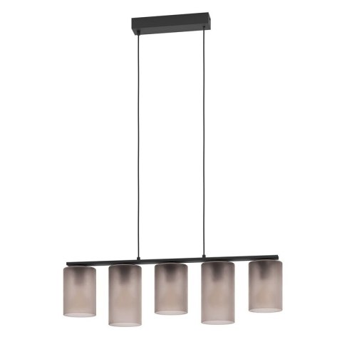 Lampa EGLO Colomera, elastyczny uchwyt, czarny, szary, stal, szkło