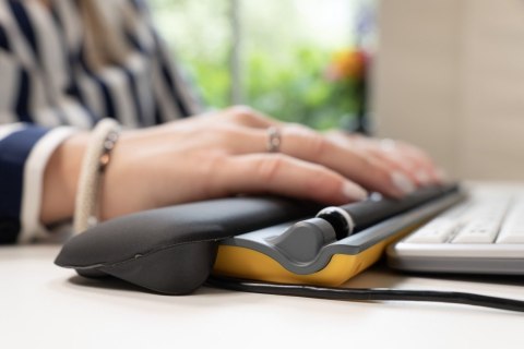 Mysz Centralna BakkerElkhuizen ErgoSlider Plus sprzedaż detaliczna