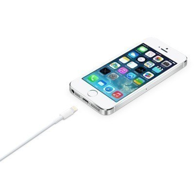 Apple | Męski | 4-pinowy USB Typ A | Męski | Apple Lightning | 2 m
