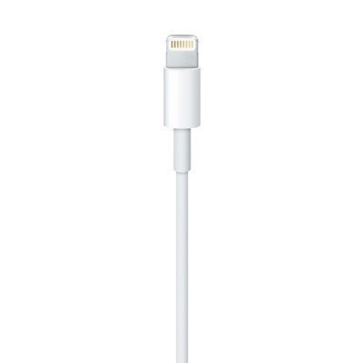 Apple | Męski | 4-pinowy USB Typ A | Męski | Apple Lightning | 2 m