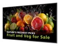 Philips 5000 series 75BDL5050D/00 signage display 190,5 cm (75") LCD Wi-Fi 600 cd/m2 Full HD Czarny Procesor wbudowany Android