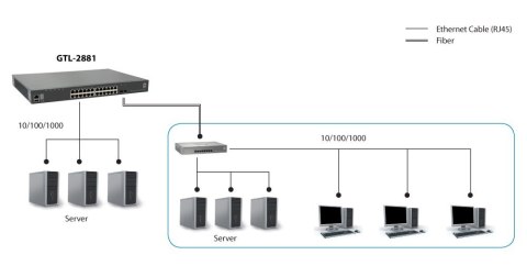 LevelOne GTL-2881 przełącznik sieciowy Zarządzany L3 Gigabit Ethernet (10/100/1000) Szary