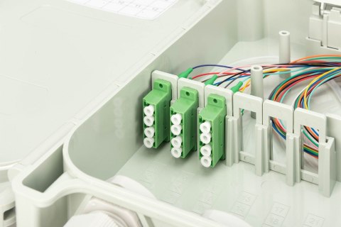 Digitus Obudowa przyłącza FTTH/FTTB, zmontowana, OS2, 12 włókien, LC/APC