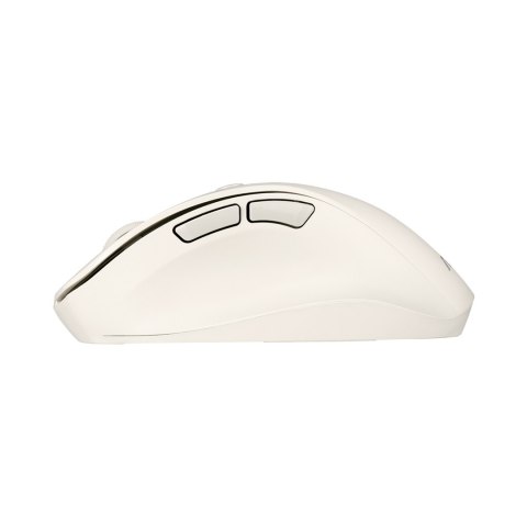 Mysz bezprzewodowa ASUS MD105 Wireless Mouse Milky White 2400DPI Dual-mode wireless 2.4 GHz and Bluetooth