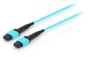Equip 25555707 kabel InfiniBand / światłowodowy 15 m MTP Cyjan